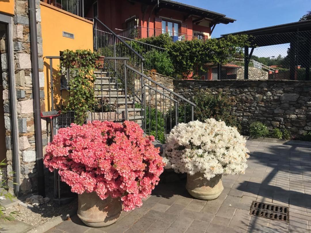 Vill'Ariel Sport & Relax Villa Brovello-Carpugnino Exterior photo
